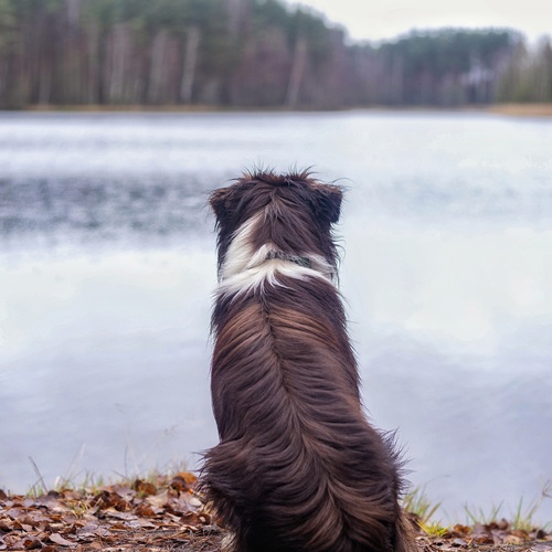 Photo #13828703