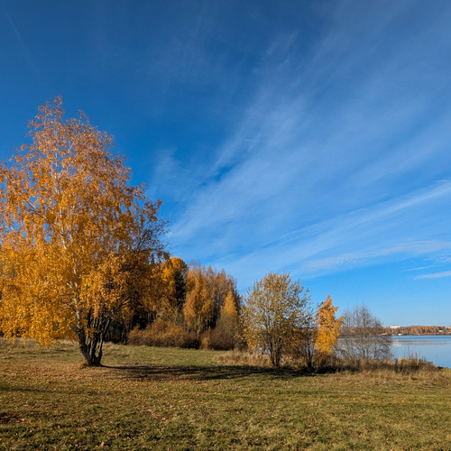 Photo #13828747