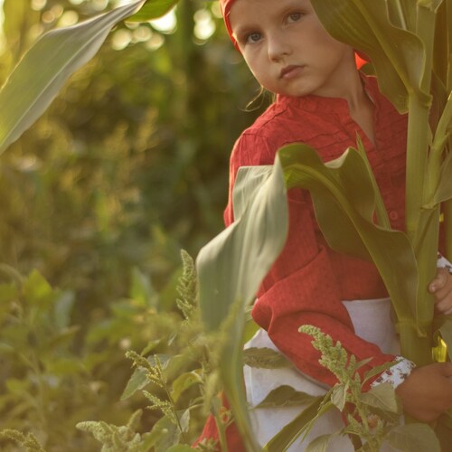 Photo #13828755