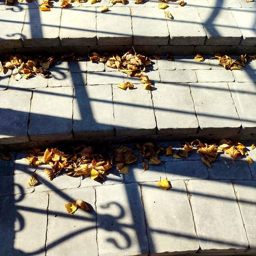 Photo #13828813