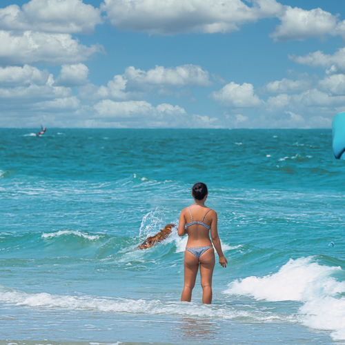 Photo #13828872