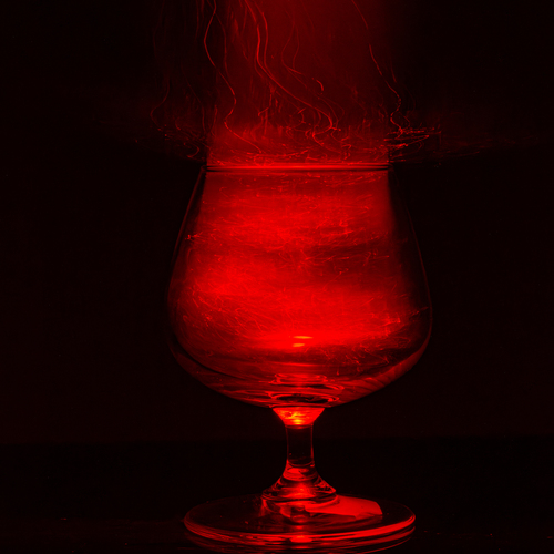 Photo #13829088