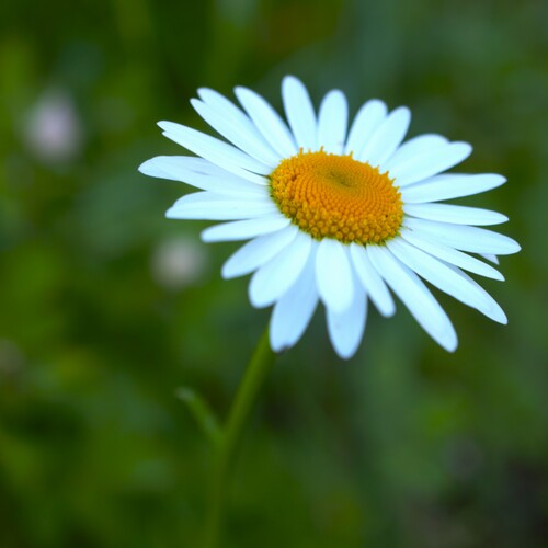 Photo #13829112