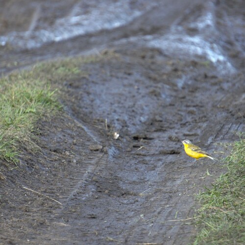Photo #13829113
