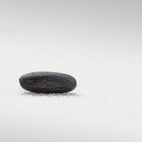 Photo #13829143