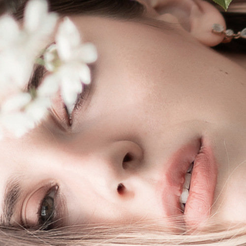 Photo #13829145