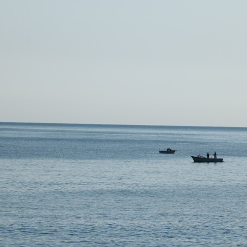 Photo #13829183