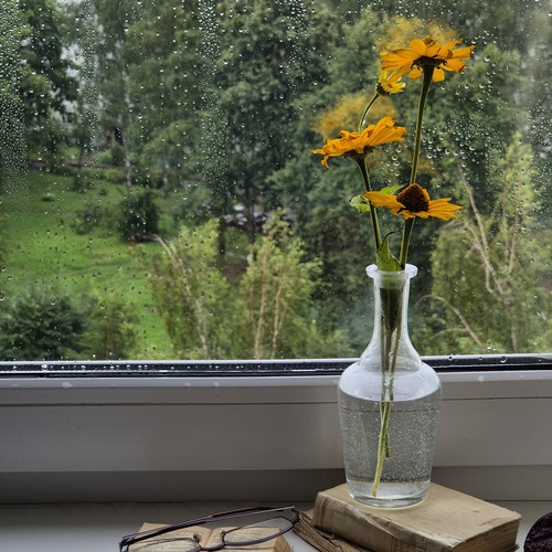 Photo #13829434