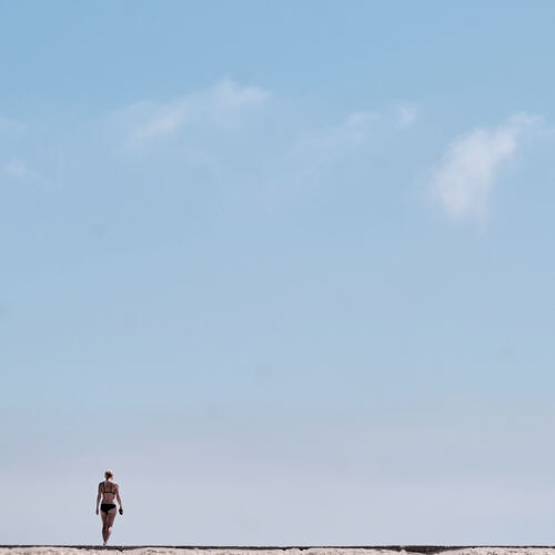 Photo #13829543
