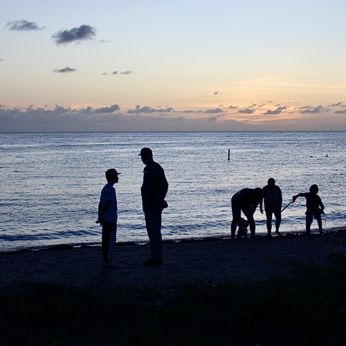 Photo #13829672