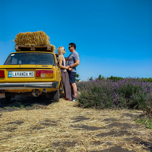 Photo #13829837