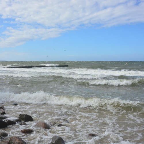 Photo #13830082