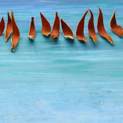Photo #13830108