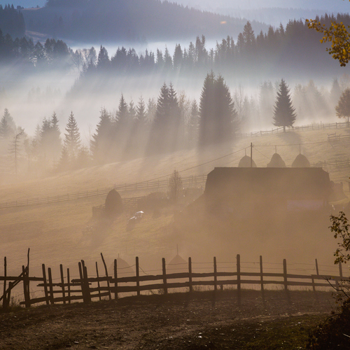 Photo #13830230