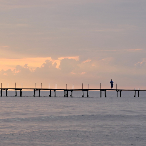 Photo #13830243