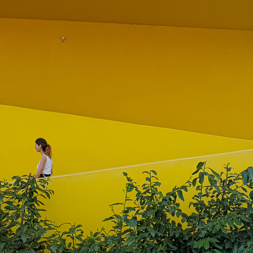 In Yellow