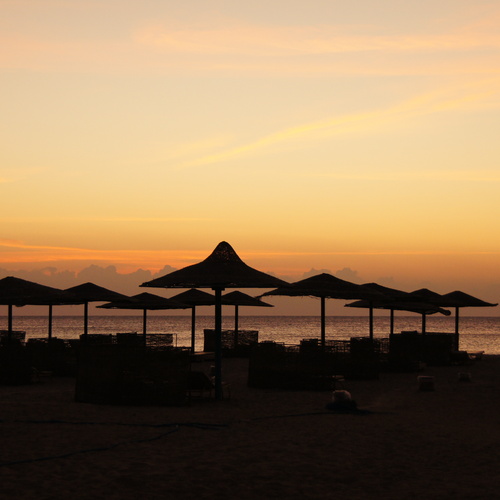 Photo #13830361