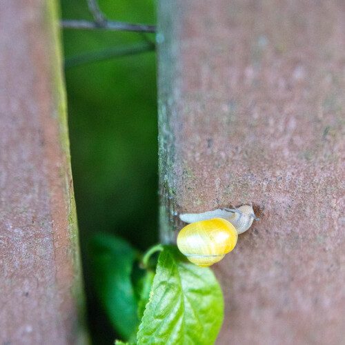 Photo #13830422