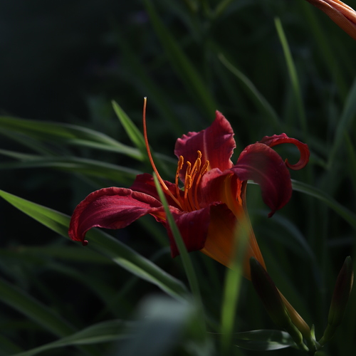 Photo #13830455