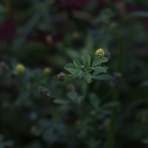 Photo #13830479