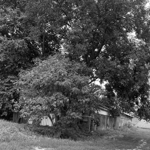 Photo #13830492