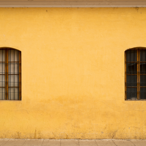 Photo #13830511