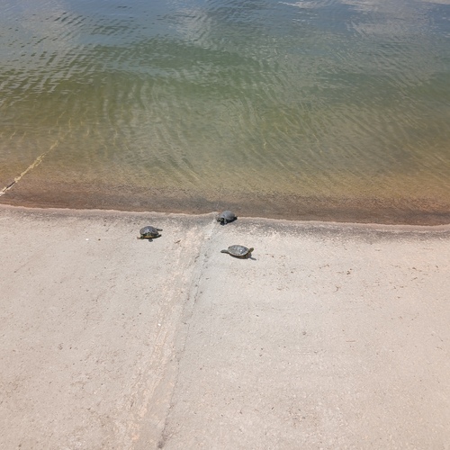 Photo #13830573