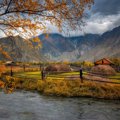 Photo #13830643