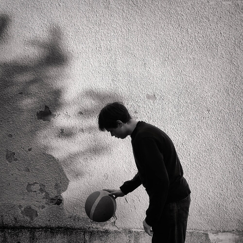 Photo #13830652