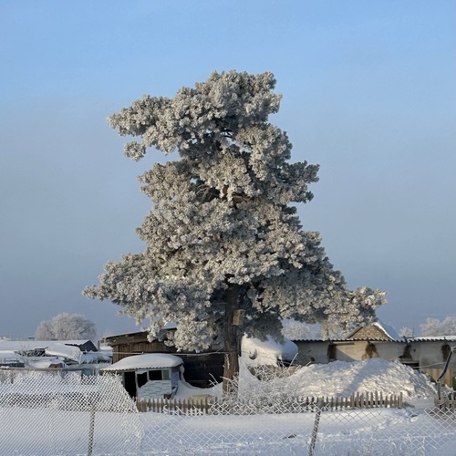 Photo #13830680
