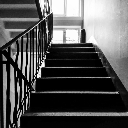 Photo #13830690