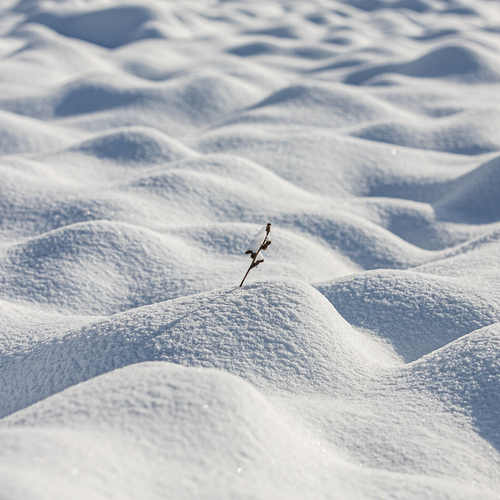 Photo #13830692