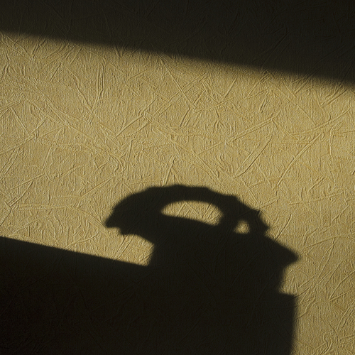 Photo #13830715
