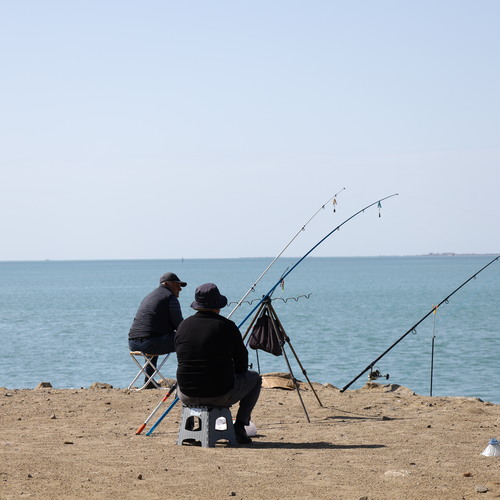 The Art of Waiting