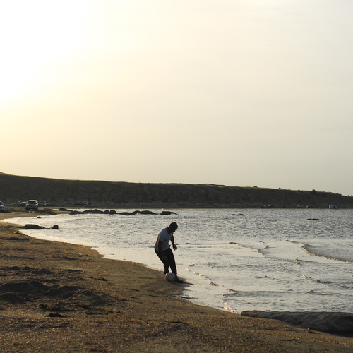 Photo #13830835