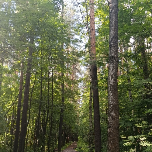 Photo #13830864