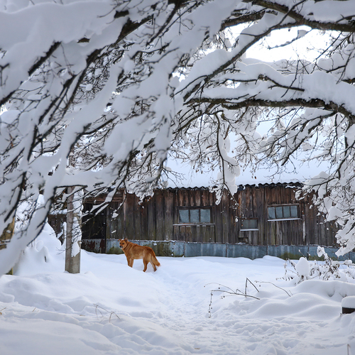 Photo #13830877