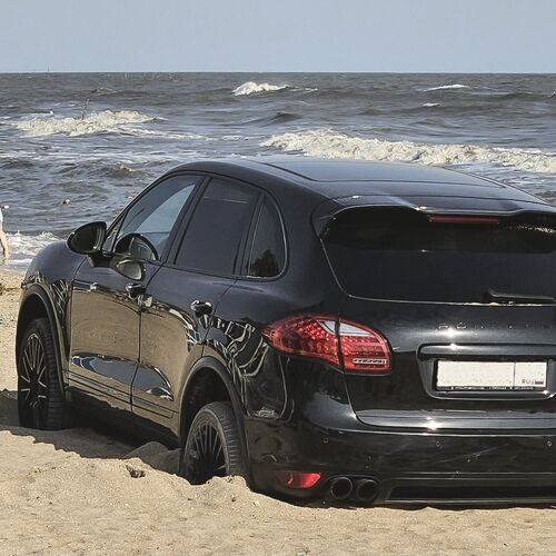 Photo #13830976