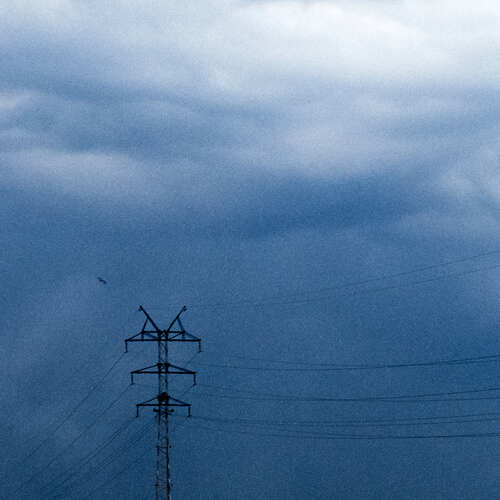 Photo #13830998