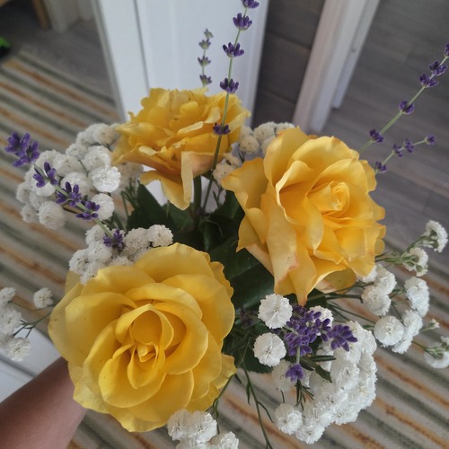 Photo #13831058
