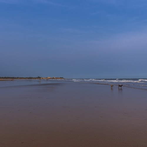 Photo #13831135