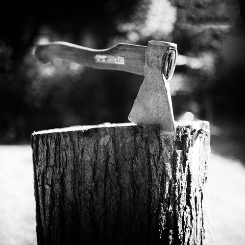 Photo #13831154
