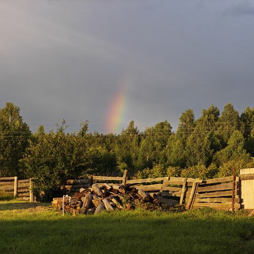Photo #13831156