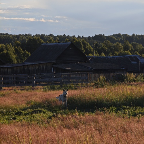 Photo #13831157