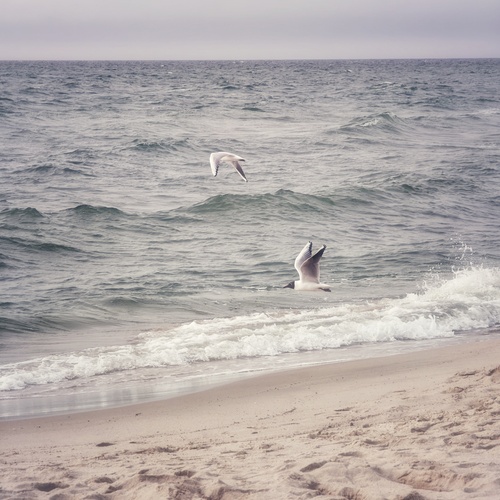 Photo #13831181