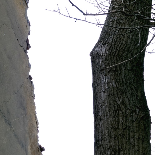 Photo #13831185