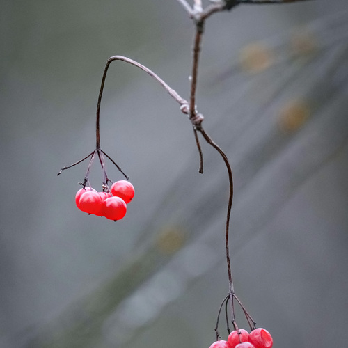 Photo #13831332