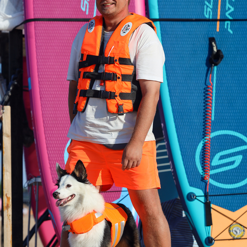 Photo #13831402
