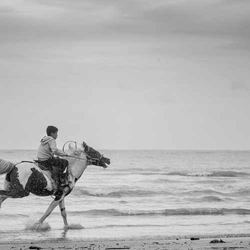 Photo #13831410