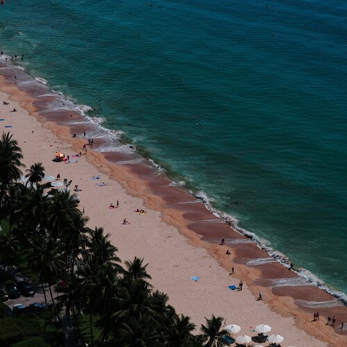 Photo #13831591